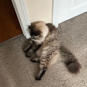 Meet your Posher, Seth